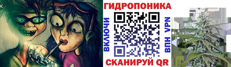 Наркошоп Вятские Поляны Канабис  СОЛЬ  ГАШ  мега как войти  Меф мяу мяу 