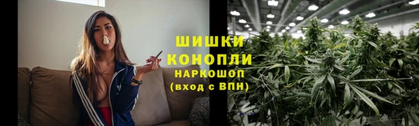дживик Баксан
