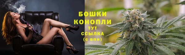 дживик Баксан