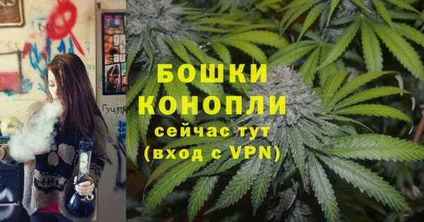 дживик Баксан