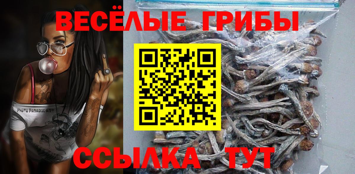 Вятские Поляны  Псилоцибиновые грибы ЛСД  Псилоцибиновые грибы прущие грибы  Вход с VPN 